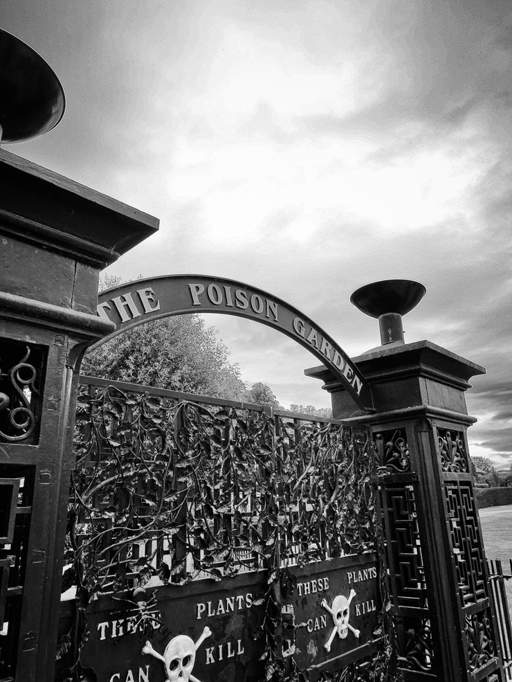 The Poison Garden at Alnwick Gardens