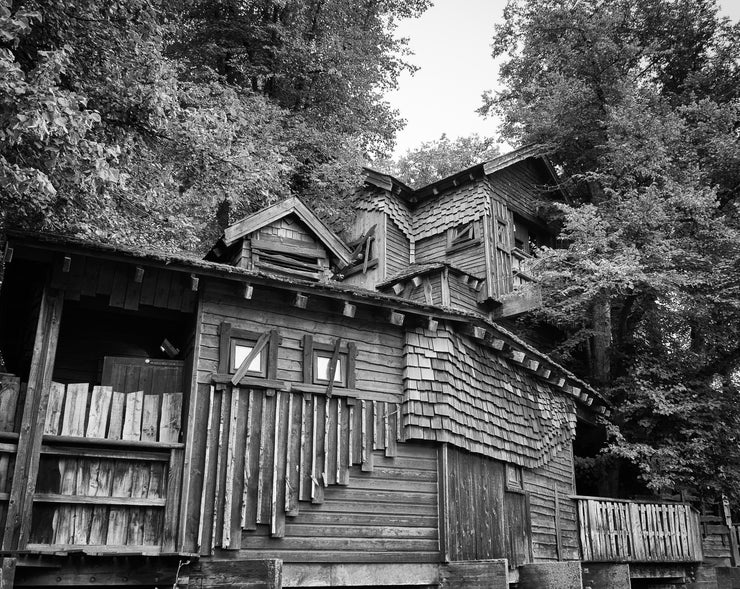 Treehouse Restaurant at Alnwick Gardens