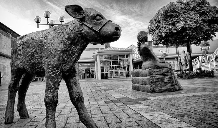 Calf Statue in Burnley