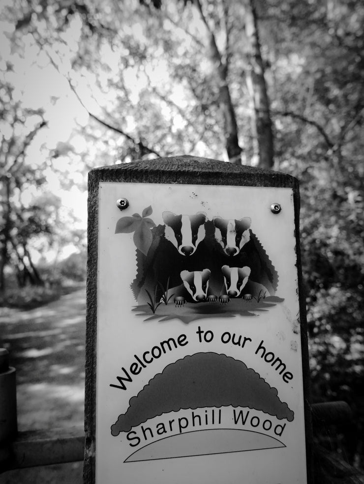 Sharphill Woods Sign, Edwalton, Nottingham