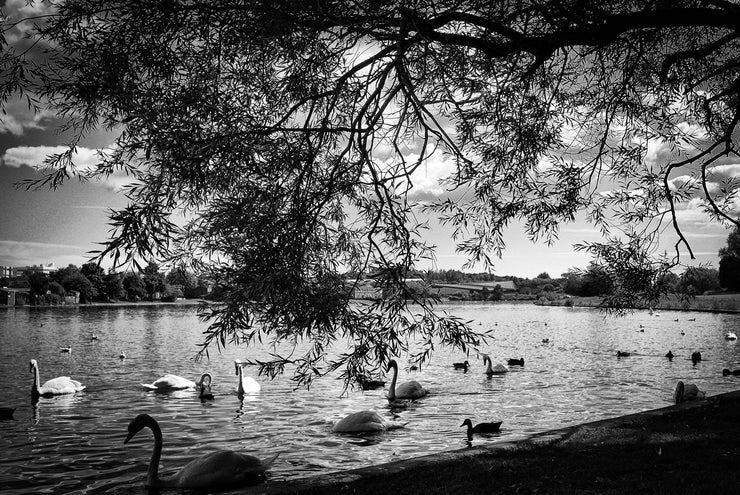 Killingworth Lake