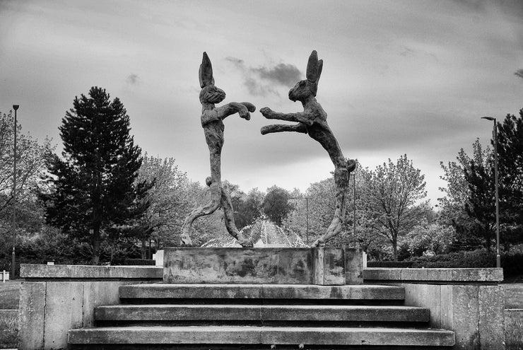 Hare Sculptures Capability Green, Luton