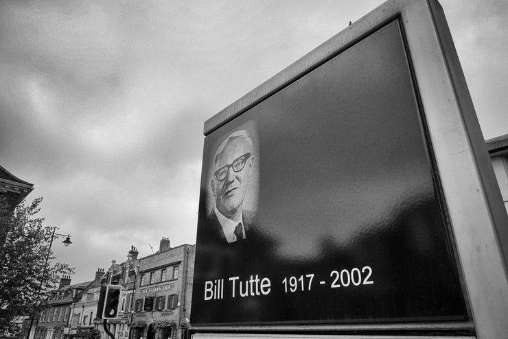 Bill Tutte Picture, Newmarket