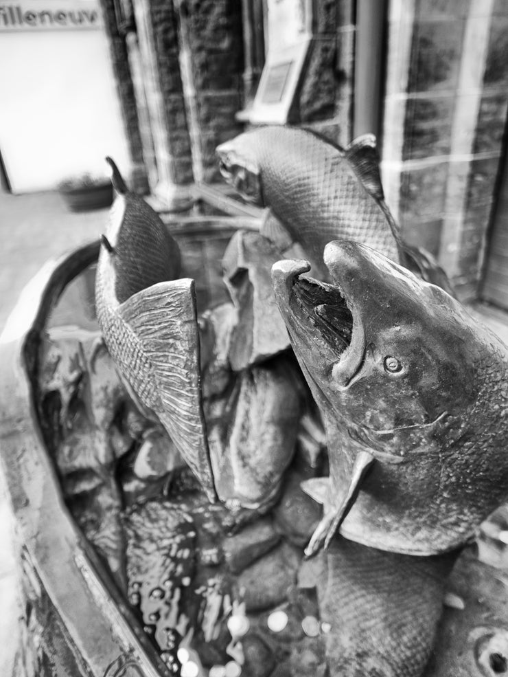 Fish Sculpture in Peebles