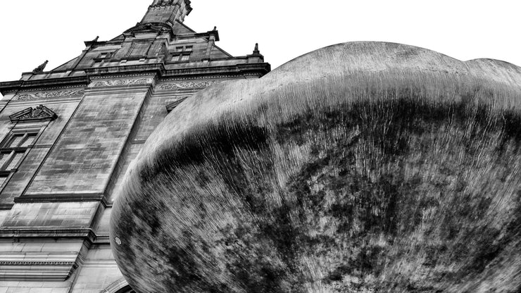 Sheffield Town Hall Detail