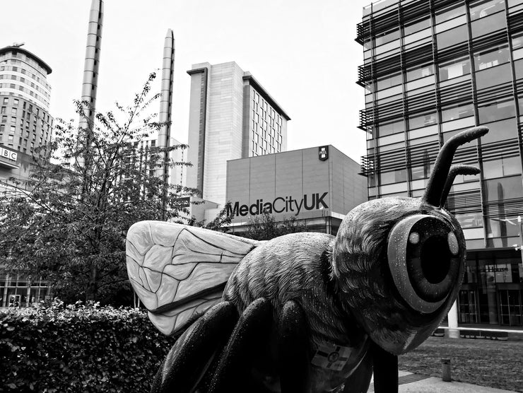 Bee Sculpture, Media City