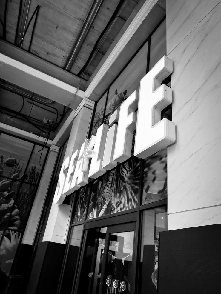 Sealife Centre, Trafford Centre