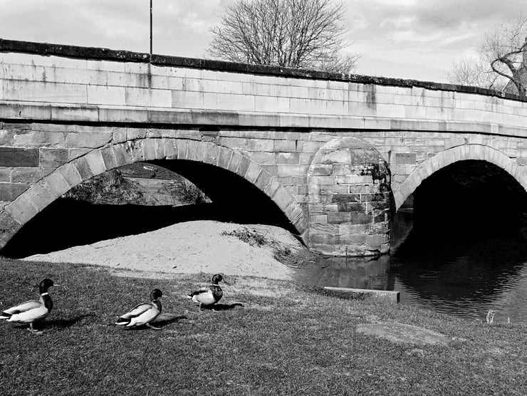 Mill Bridge, Thirsk