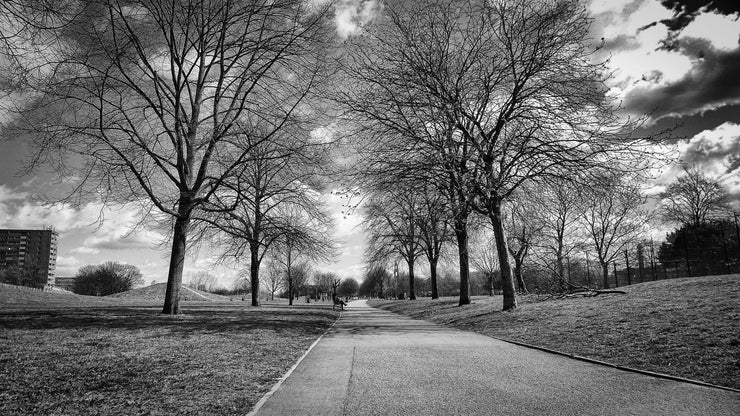 Burgess Park, Camberwell