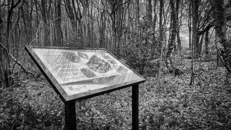 Information Sign, Chineham