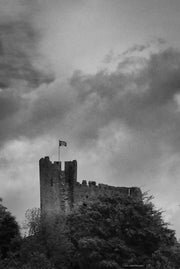 Priory Ruins, Dudley