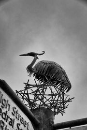 Street Sign, Dunblane