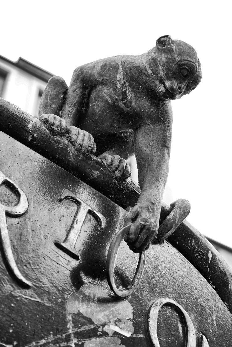 Information Sign Monkey, Dundee