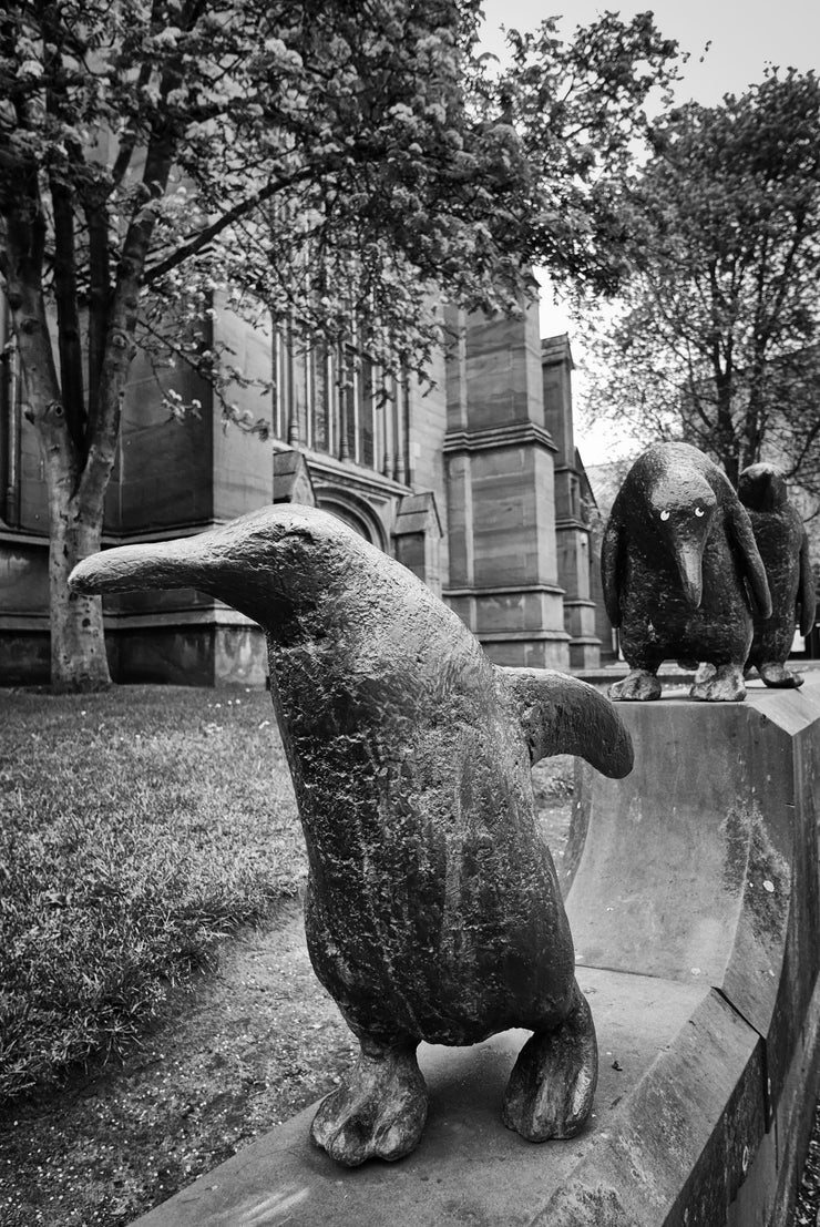 Penguin Statues, Dundee