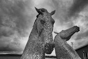 Horse Sculpture, Irvine