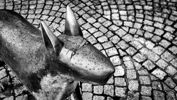 Dog Sculptures, Kilmarnock