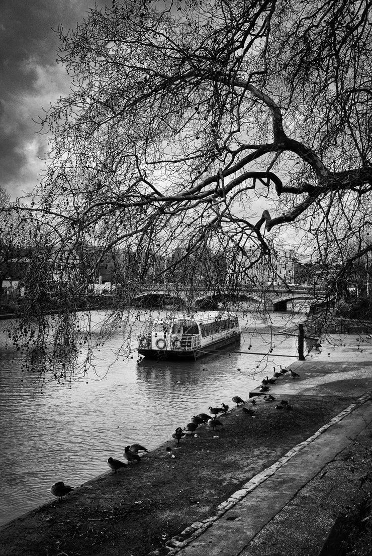 River Medway in Maidstone