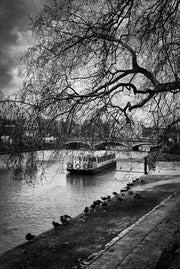 River Medway in Maidstone