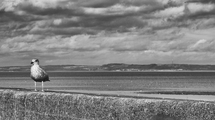 Musselburgh Seafront