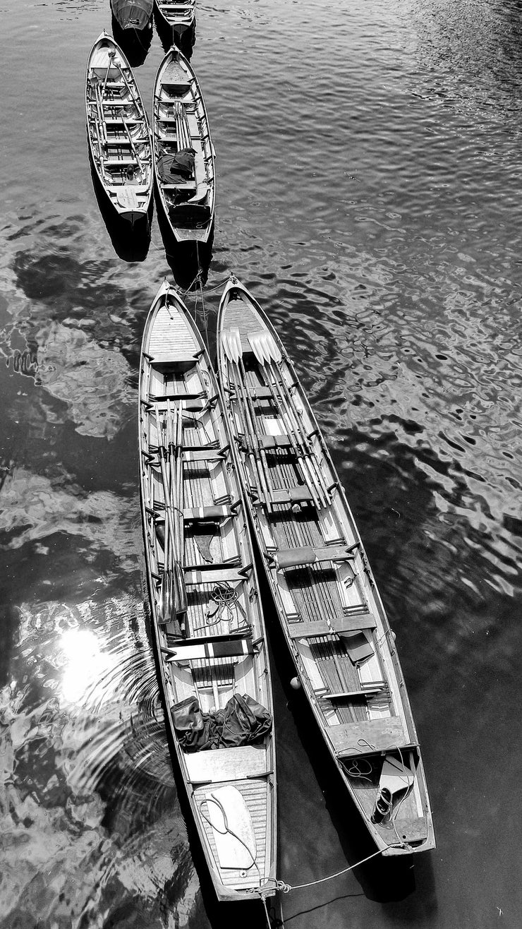 Rowing Boats on the River Thames  in Richmond