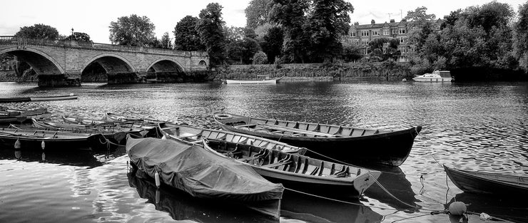 Rowing Boats on the River Thames in Richmond