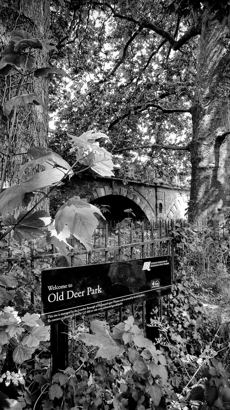 Old Deer Park in Richmond