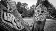 Alice in Wonderland Wooden Sculptures, Spa Gardens, Ripon