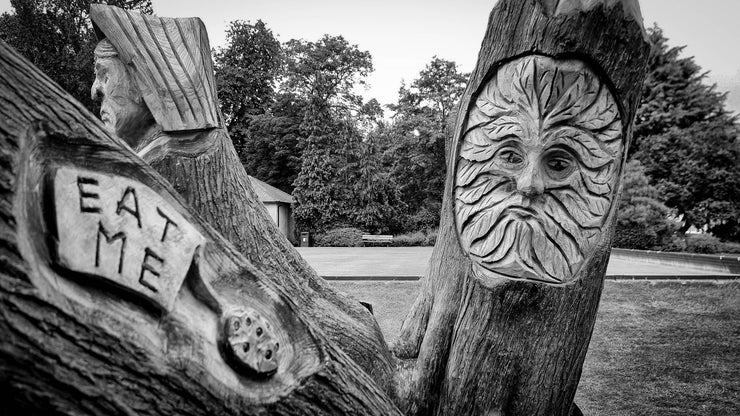 Alice in Wonderland Wooden Sculptures, Spa Gardens, Ripon