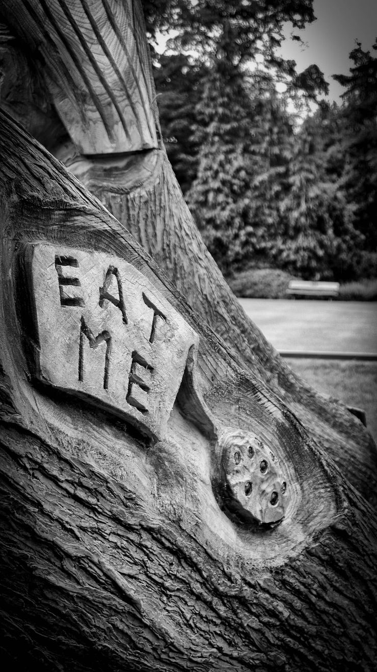 Alice in Wonderland Wooden Sculptures, Spa Gardens, Ripon