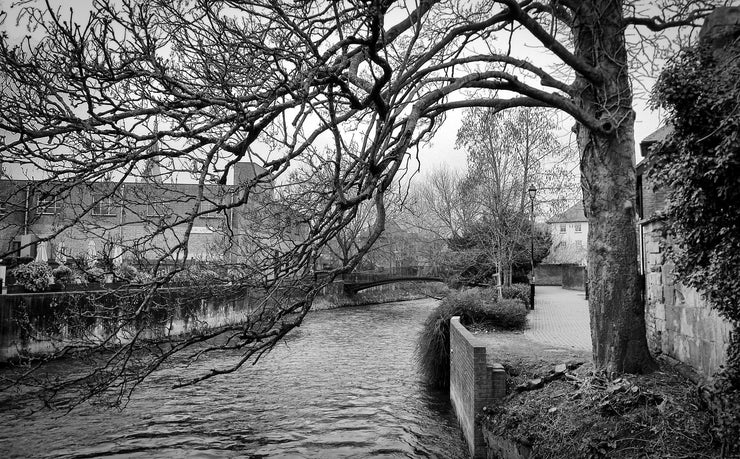 River Avon in Salisbury