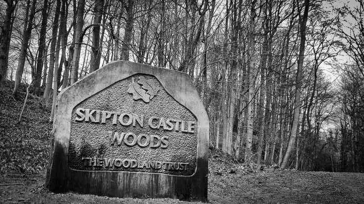 Skipton Castle Woods