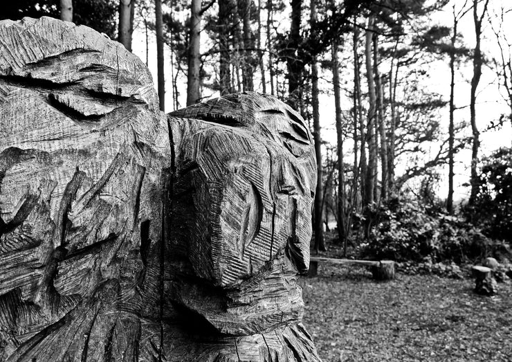 Wooden Sculpture, Solihull