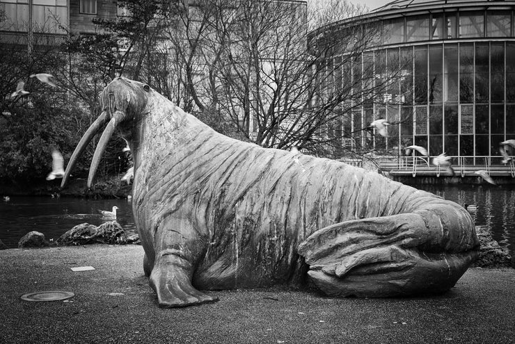 Walrus Statue, Mowbray Park, Sunderland