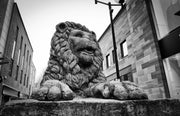 Golden Lion Statue, Swindon