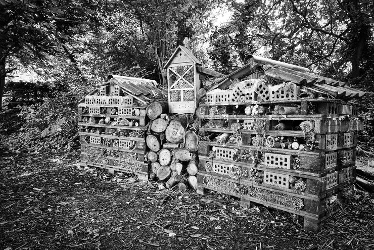 Bug Hotel, Trowbridge