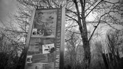 Betjeman Millennium Park, Wantage