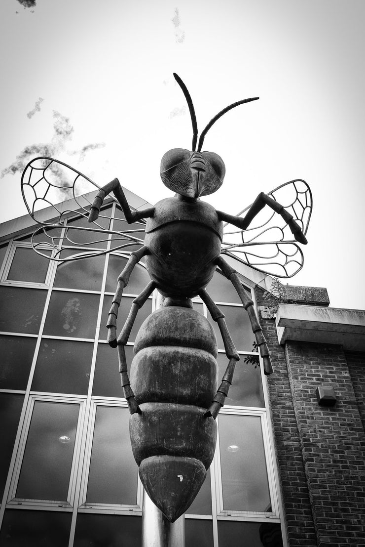 Wasp Sculpture, Watford