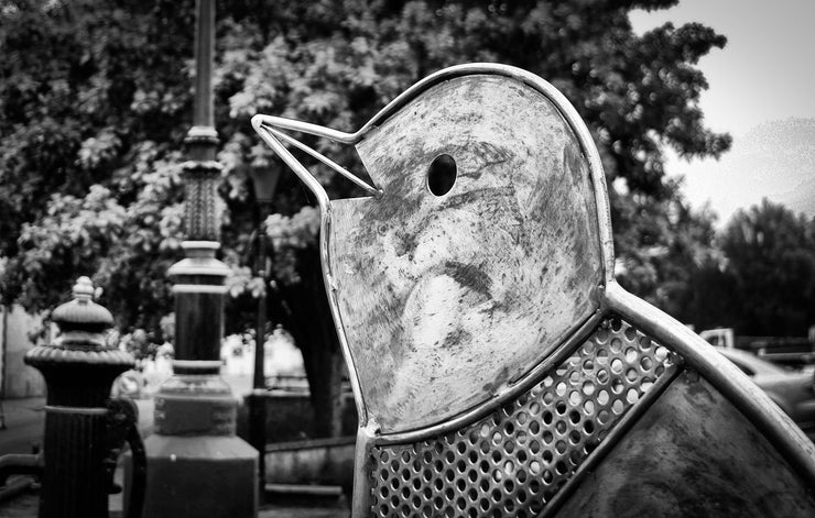 Bird Sculpture, Wigton