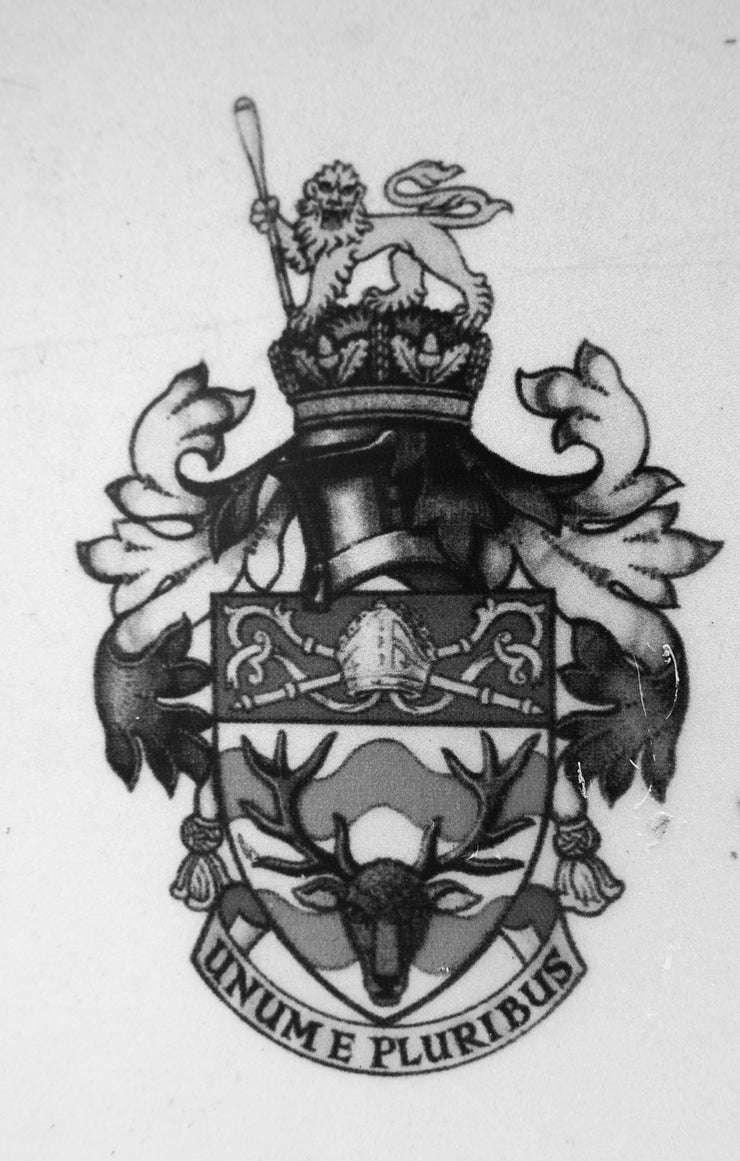 Coat of Arms, Woodley