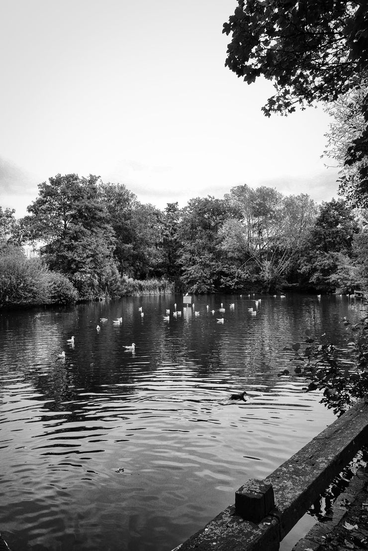 Woodley Park Lake