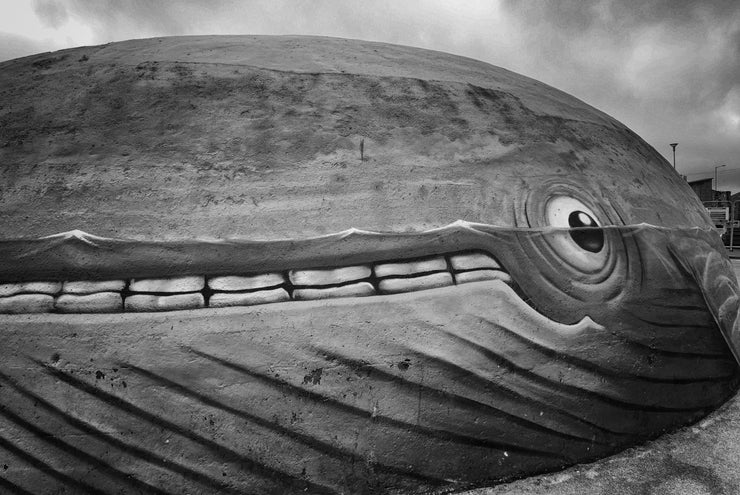 Roker Whale, Sunderland